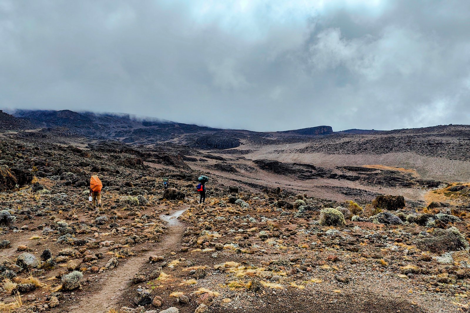 Mountain Trek Gallery Image 1