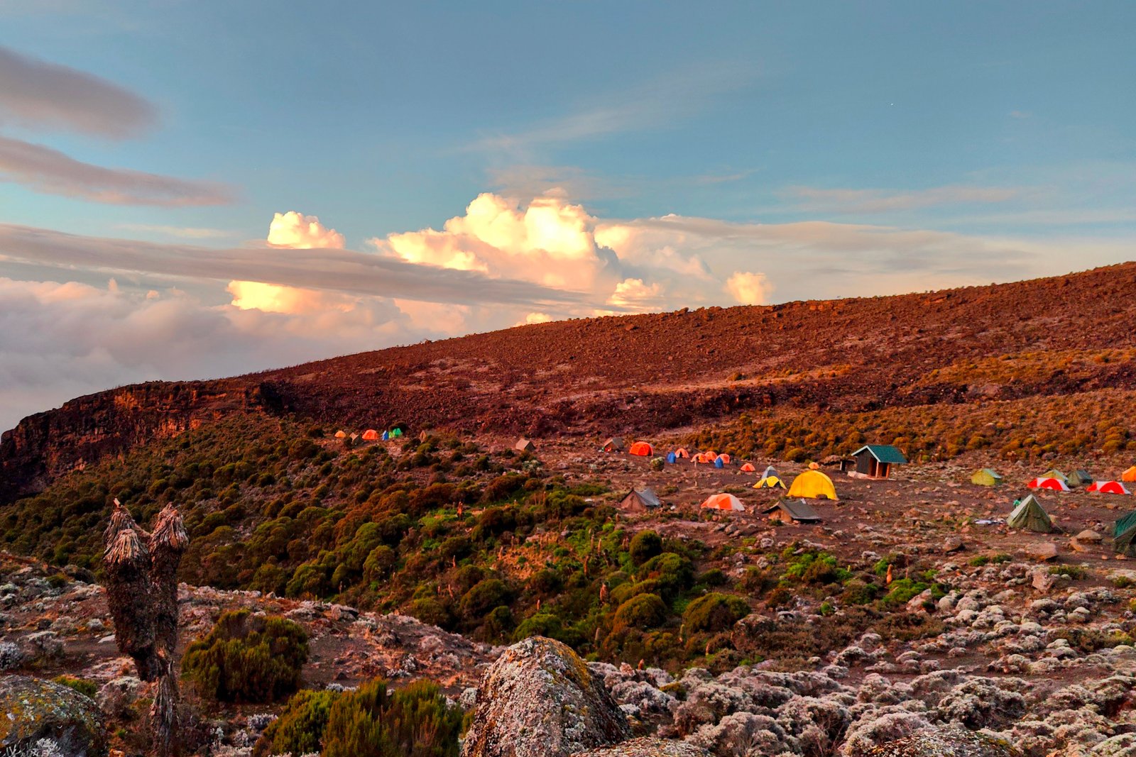 Mountain Trek Gallery Image 1
